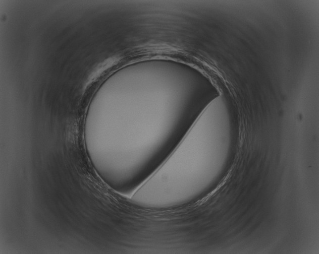 X0000087511309200704270744