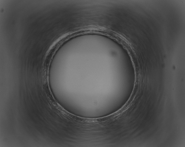 X0000087511310200704270744