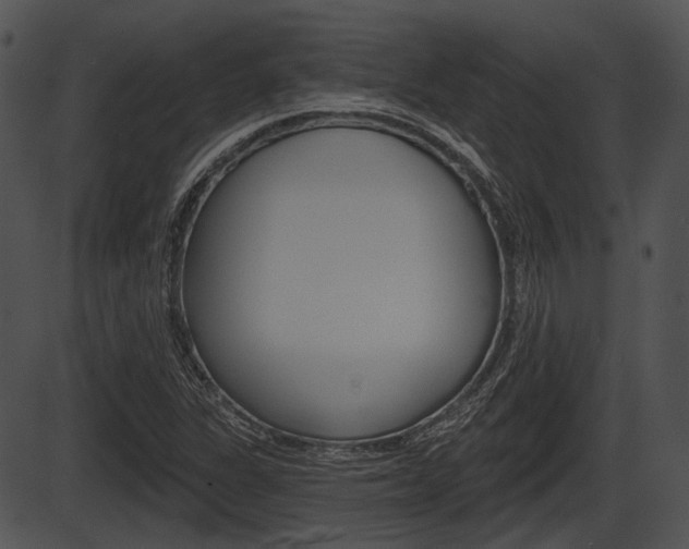 X0000087511311200704270744