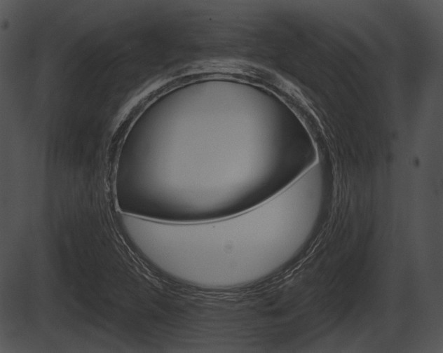 X0000087511312200704270744