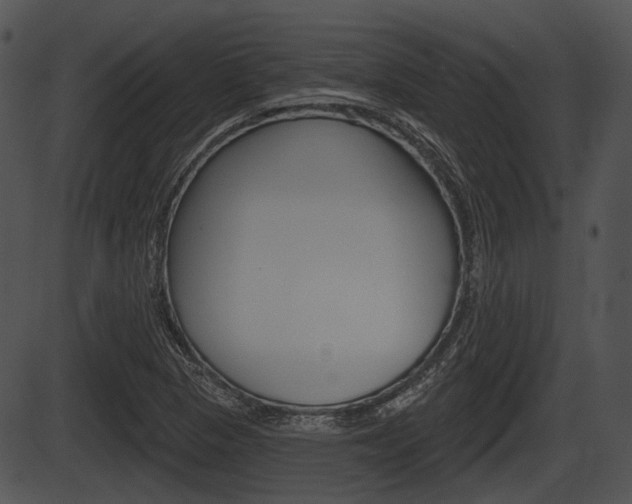 X0000087511313200704270744