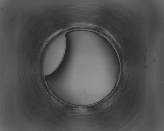 X0000087511315200704270744