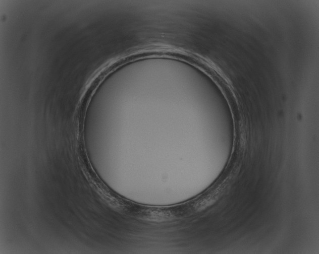 X0000087511318200704270744