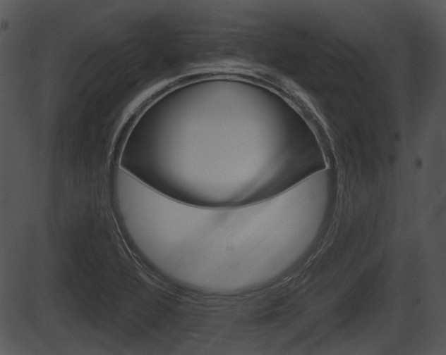X0000087511320200704270744