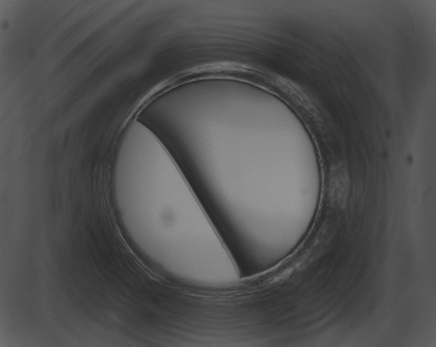 X0000087511321200704270744