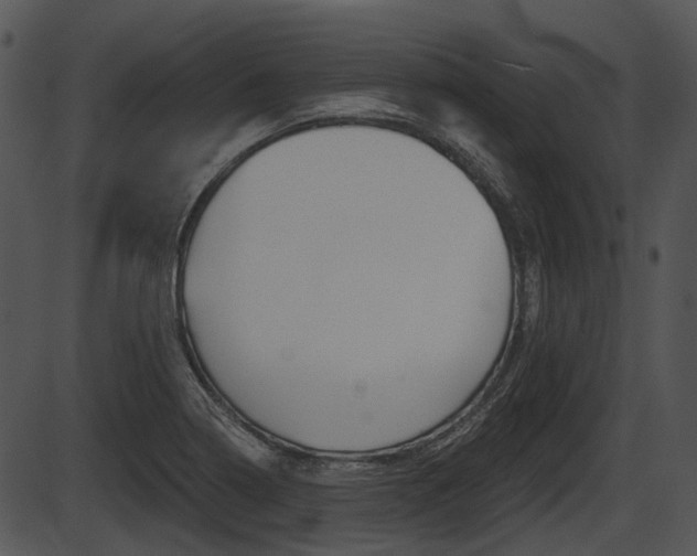 X0000087511322200704270744
