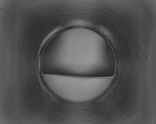 X0000087511323200704270744