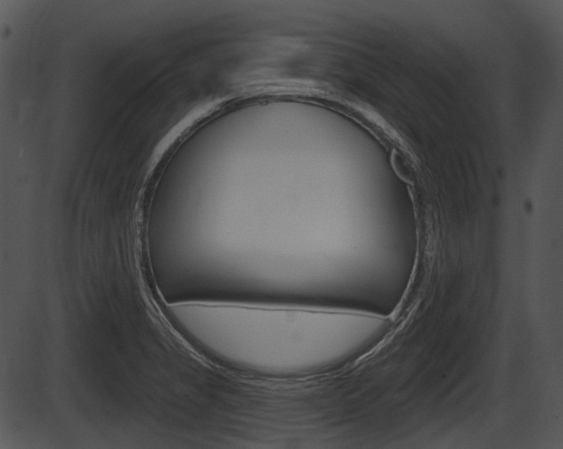 X0000087511325200704270744