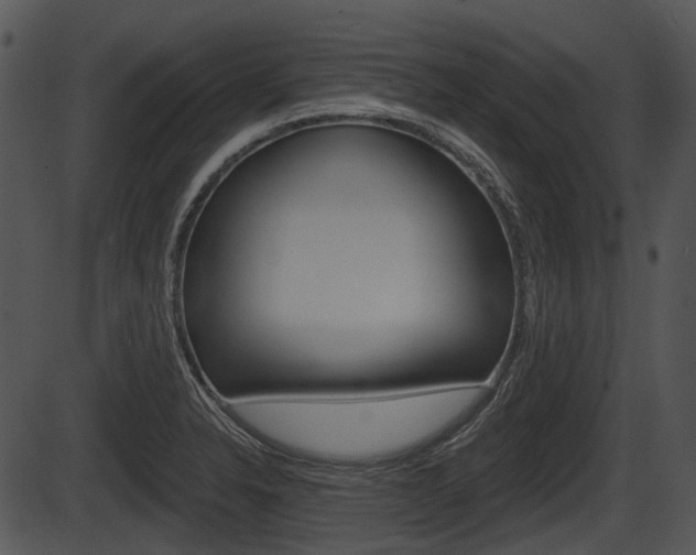 X0000087511326200704270744