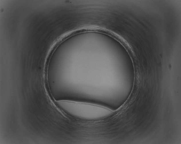 X0000087511327200704270744