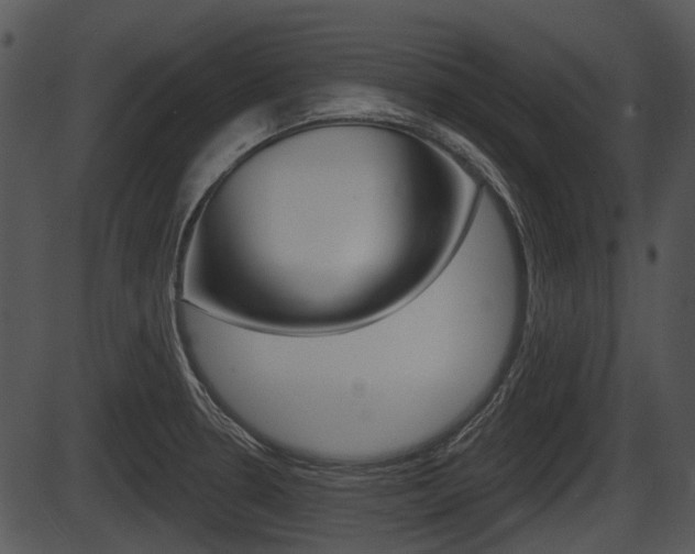 X0000087511330200704270744