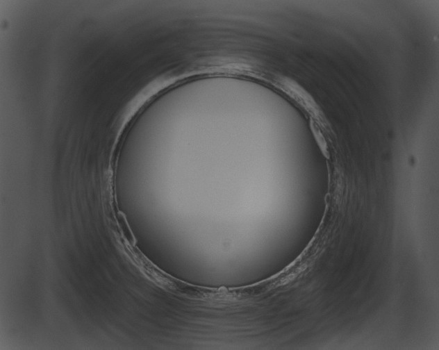 X0000087511332200704270744