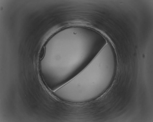 X0000087511333200704270744