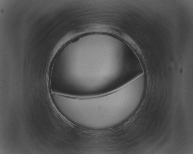 X0000087511334200704270744