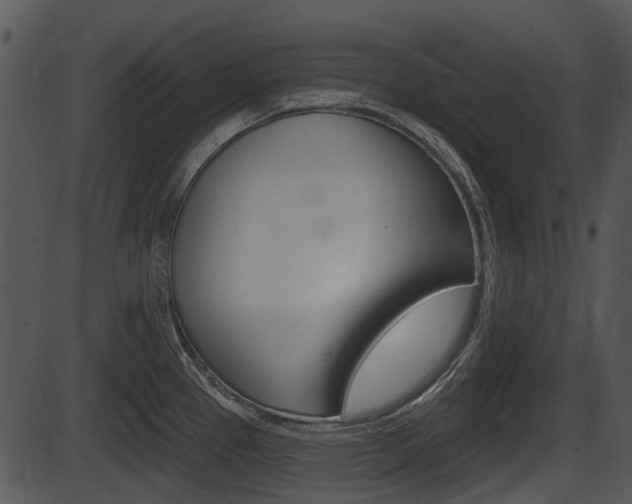 X0000087511337200704270744