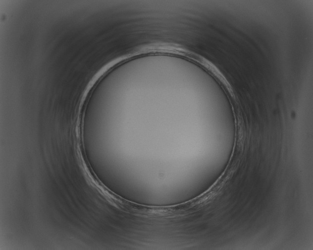 X0000087511339200704270744