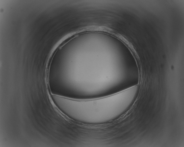X0000087511342200704270744