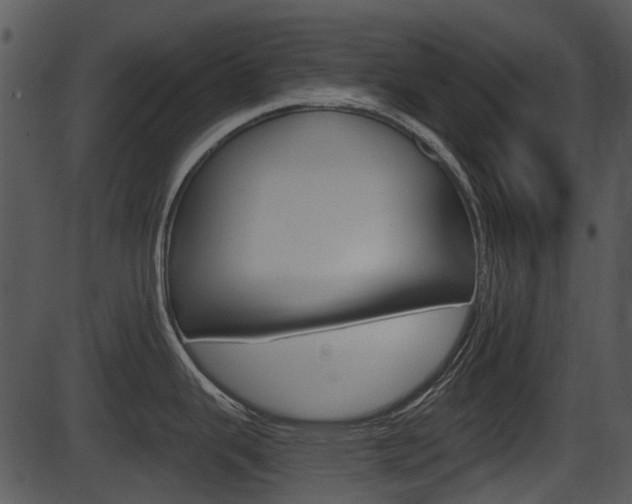 X0000087511343200704270744