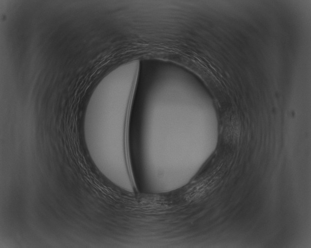 X0000087511345200704270743