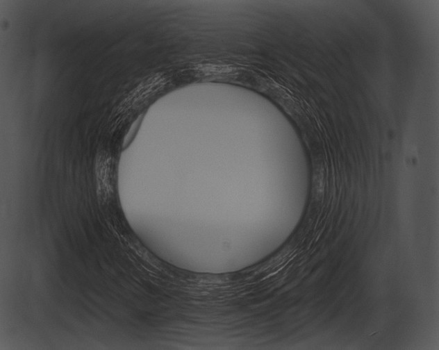 X0000087511346200704270743