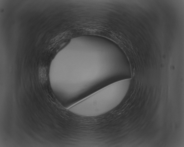 X0000087511347200704270743