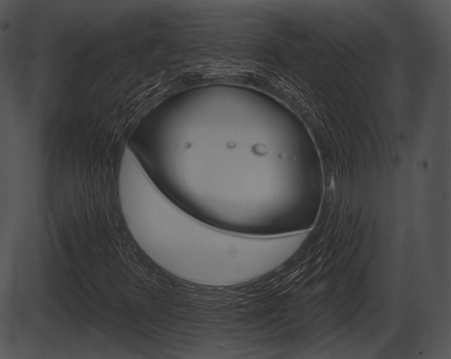 X0000087511348200704270743