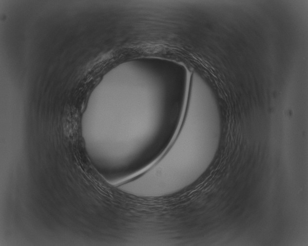 X0000087511349200704270743
