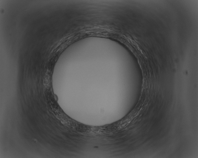 X0000087511350200704270743