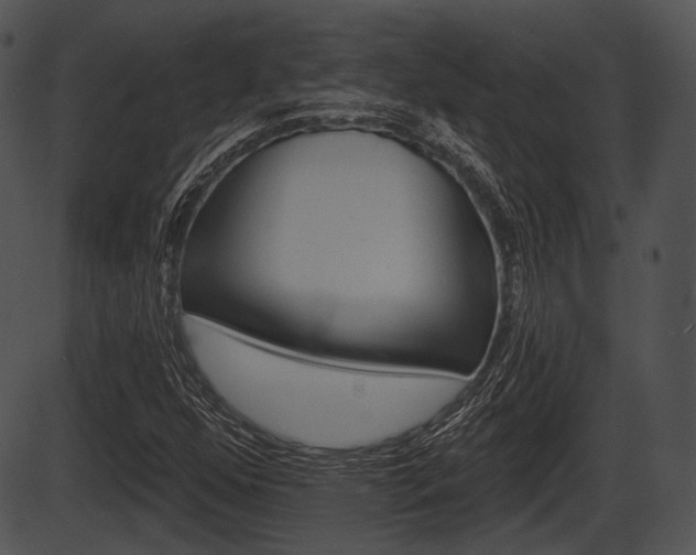 X0000087511352200704270743