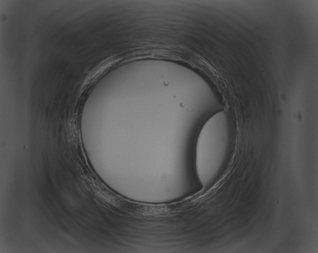 X0000087511354200704270743