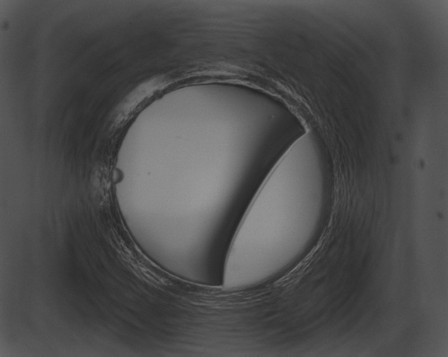 X0000087511355200704270743