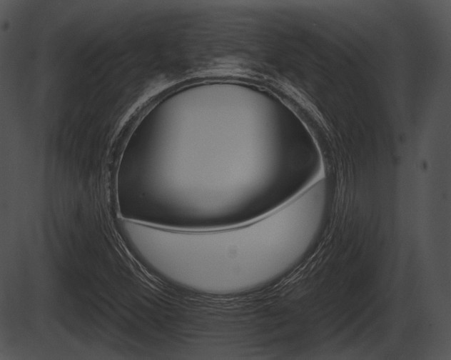 X0000087511356200704270743
