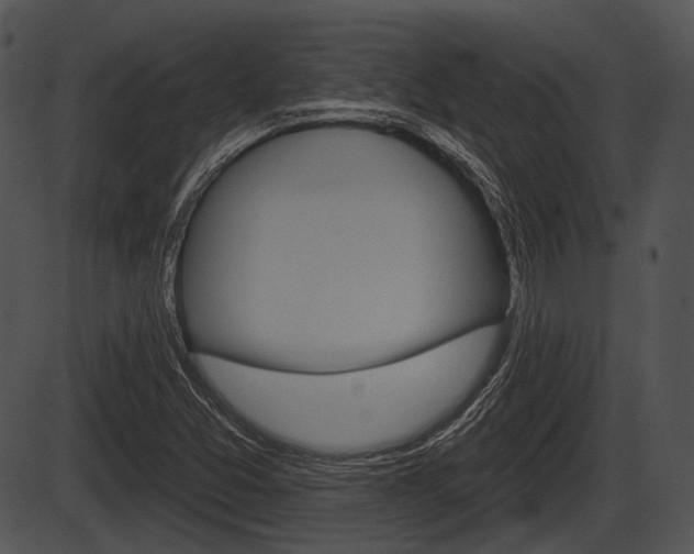 X0000087511357200704270743
