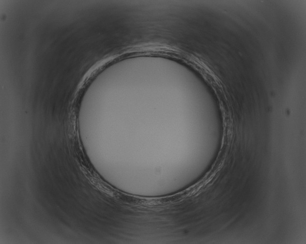 X0000087511358200704270743