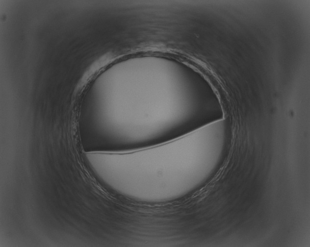 X0000087511359200704270743