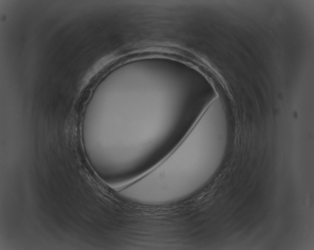 X0000087511360200704270743