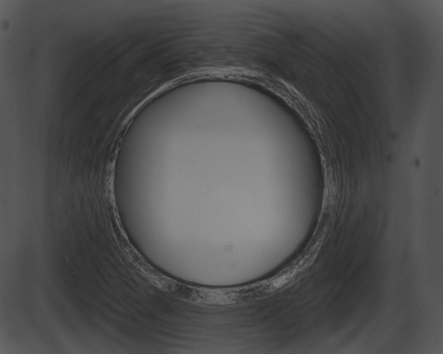 X0000087511361200704270743