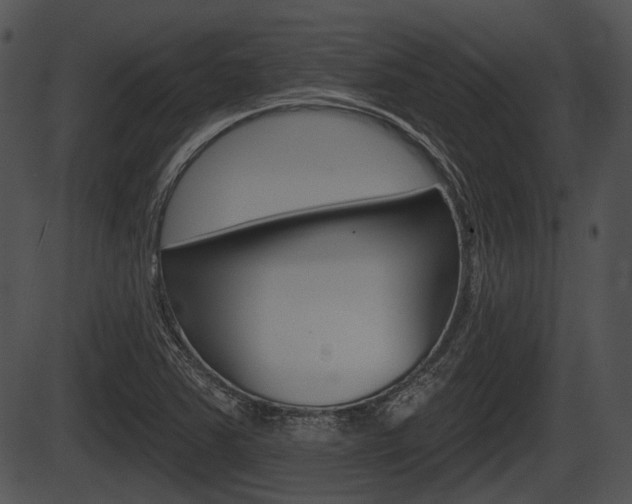X0000087511363200704270743