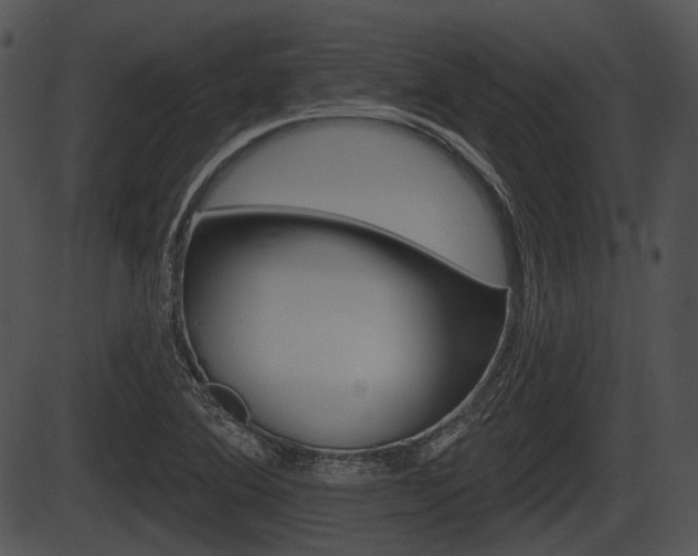 X0000087511364200704270743