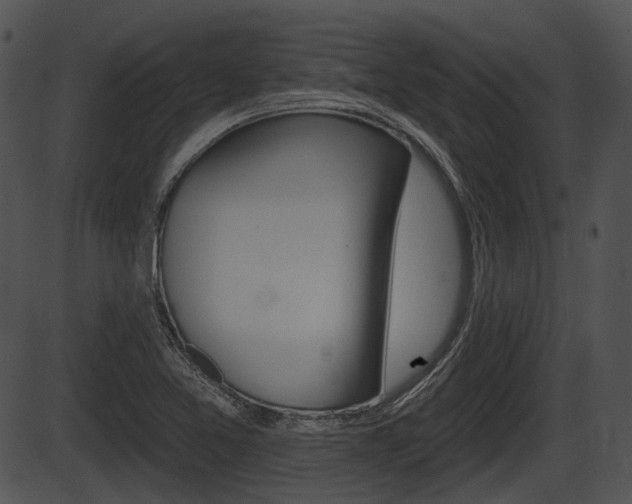 X0000087511365200704270743