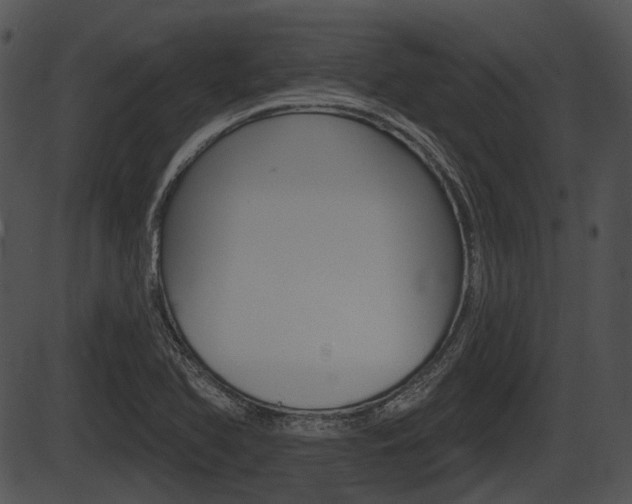 X0000087511366200704270743