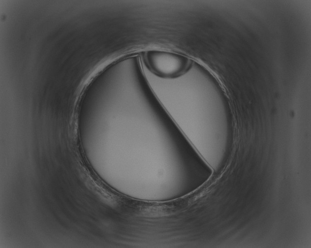 X0000087511367200704270743