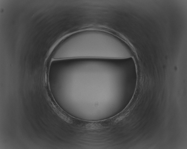 X0000087511368200704270743