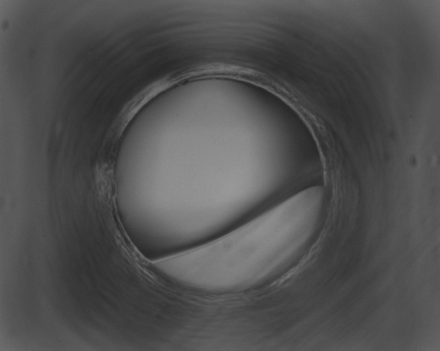 X0000087511369200704270743