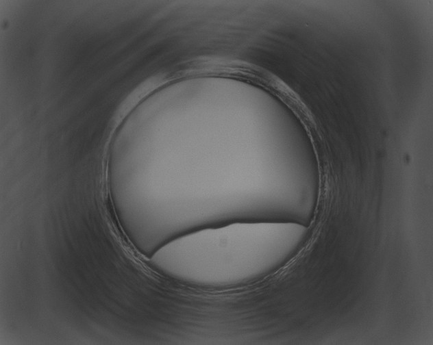 X0000087511370200704270743