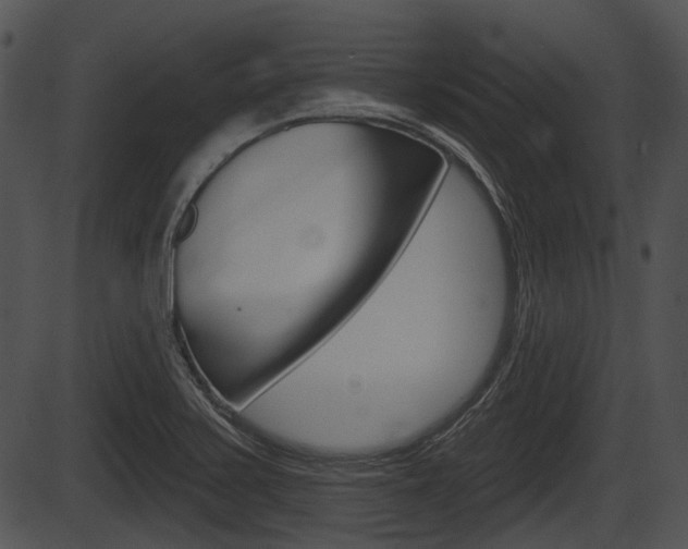 X0000087511371200704270743