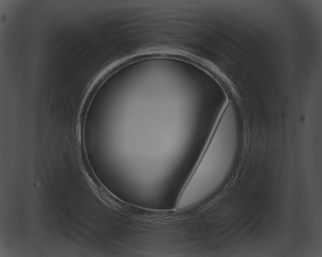 X0000087511372200704270743