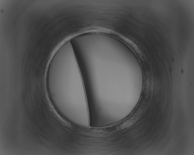 X0000087511375200704270743