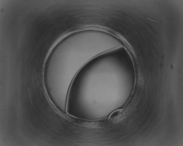 X0000087511376200704270743
