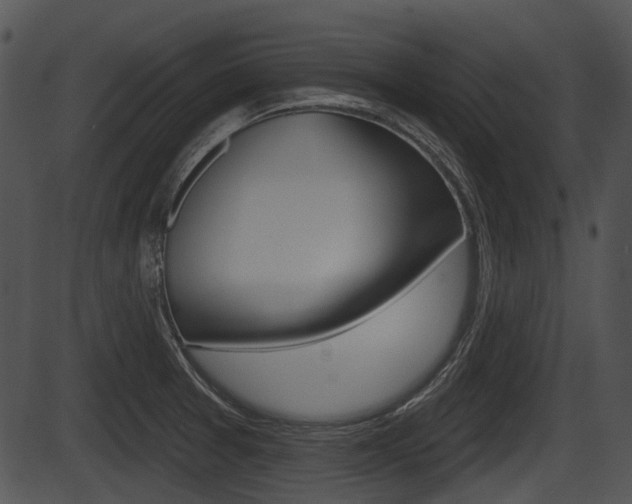 X0000087511377200704270743